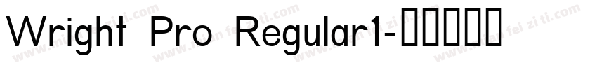 Wright Pro Regular1字体转换